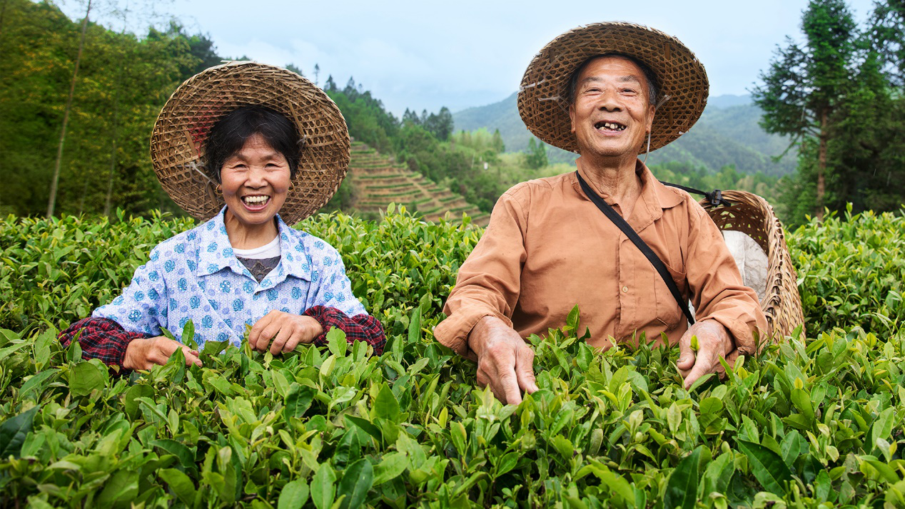 “振興中國好茶公益助農行動”正式發起，小罐茶以茶助農打贏脫貧攻堅戰
